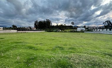 ALQUILER DE TERRENO EN PIFO VIA AEROPUERTO