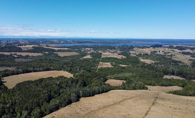 Campo en venta en Los Muermos de 96 hectáreas - Región de Los Lagos