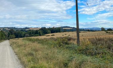 Campo en venta en Los Muermos de 96 hectáreas - Región de Los Lagos