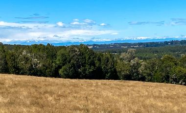Campo en venta en Los Muermos de 96 hectáreas - Región de Los Lagos