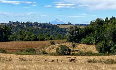 Campo en venta en Los Muermos de 96 hectáreas - Región de Los Lagos