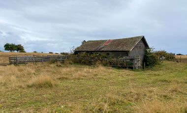 Campo en venta en Los Muermos de 96 hectáreas - Región de Los Lagos
