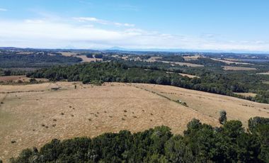 Campo en venta en Los Muermos de 96 hectáreas - Región de Los Lagos