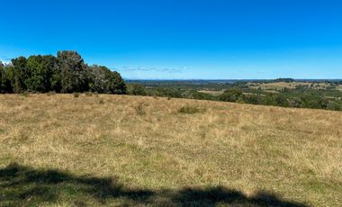Campo en venta en Los Muermos de 96 hectáreas - Región de Los Lagos