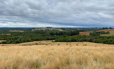 Campo en venta en Los Muermos de 96 hectáreas - Región de Los Lagos