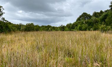 Campo en venta en Los Muermos de 96 hectáreas - Región de Los Lagos
