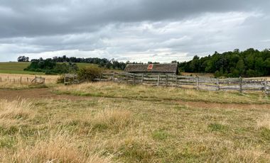 Campo en venta en Los Muermos de 96 hectáreas - Región de Los Lagos
