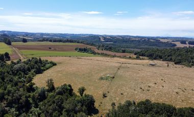 Campo en venta en Los Muermos de 96 hectáreas - Región de Los Lagos