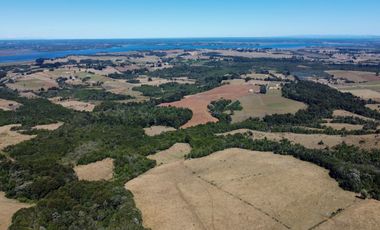 Campo en venta en Los Muermos de 96 hectáreas - Región de Los Lagos