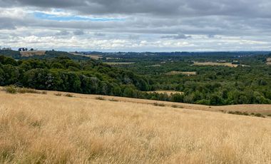 Campo en venta en Los Muermos de 96 hectáreas - Región de Los Lagos