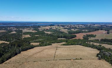 Campo en venta en Los Muermos de 96 hectáreas - Región de Los Lagos