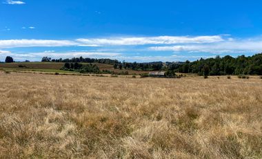 Campo en venta en Los Muermos de 96 hectáreas - Región de Los Lagos