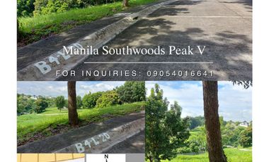 427	sq.m. Lot for Sale at Manila Southwoods Peak V