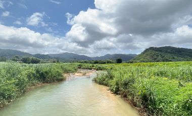 A large plot of 101 rai with clear water stream and mountain view for sale in Khuekkhak, Phangnga.