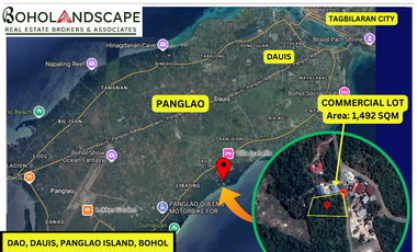 Commercial Lot for Sale located in Dao, Dauis, Panglao Island, Bohol