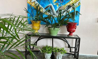Hermosa casa estilo Cuernavaca
