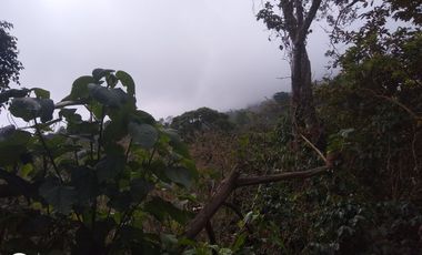 FINCA DE 4 HTS EN MINCA SANTA MARTA COLOMBIA.