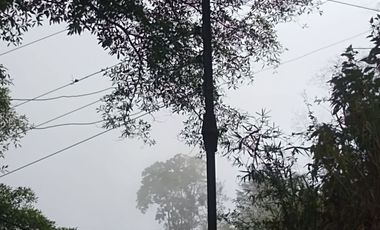 FINCA DE 4 HTS EN MINCA SANTA MARTA COLOMBIA.