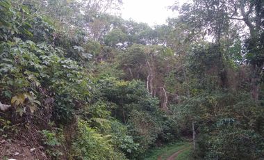 FINCA DE 4 HTS EN MINCA SANTA MARTA COLOMBIA.