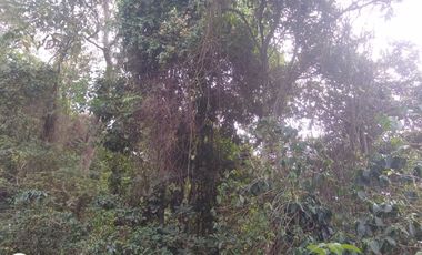 FINCA DE 4 HTS EN MINCA SANTA MARTA COLOMBIA.