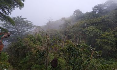 FINCA DE 4 HTS EN MINCA SANTA MARTA COLOMBIA.