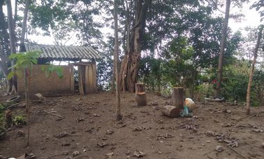 FINCA DE 4 HTS EN MINCA SANTA MARTA COLOMBIA.