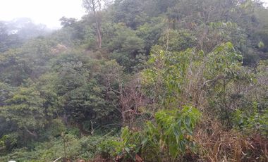 FINCA DE 4 HTS EN MINCA SANTA MARTA COLOMBIA.