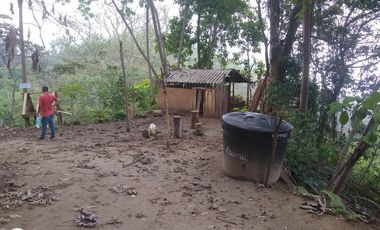 FINCA DE 4 HTS EN MINCA SANTA MARTA COLOMBIA.