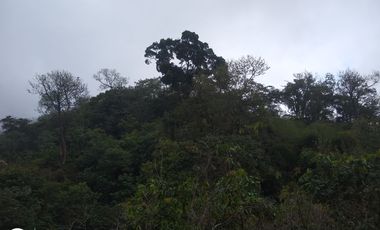 FINCA DE 4 HTS EN MINCA SANTA MARTA COLOMBIA.