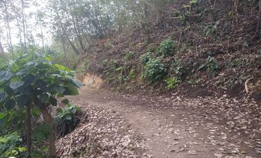 FINCA DE 4 HTS EN MINCA SANTA MARTA COLOMBIA.