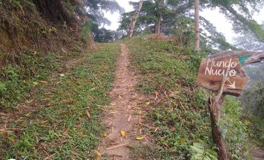 FINCA DE 4 HTS EN MINCA SANTA MARTA COLOMBIA.