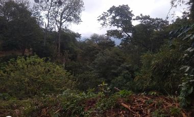 FINCA DE 4 HTS EN MINCA SANTA MARTA COLOMBIA.