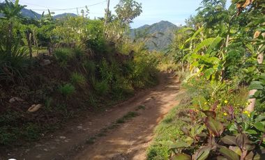 FINCA DE 4 HTS EN MINCA SANTA MARTA COLOMBIA.