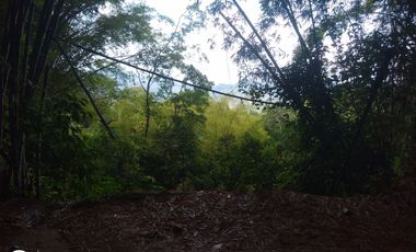 FINCA DE 4 HTS EN MINCA SANTA MARTA COLOMBIA.