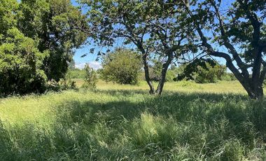 Linda parcela sector céntrico Pucón