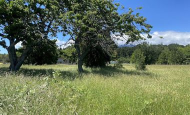 Linda parcela sector céntrico Pucón