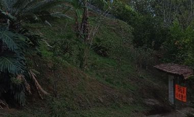 VENDO FINCA A PUERTA CERRADA EN BARBOSA ANTIOQUIA.