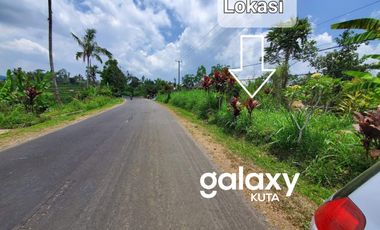 DIJUAL TANAH RAYA PLAGA PETANG BADUNG, BALI