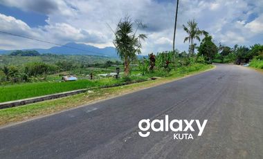 DIJUAL TANAH RAYA PLAGA PETANG BADUNG, BALI