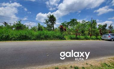 DIJUAL TANAH RAYA PLAGA PETANG BADUNG, BALI