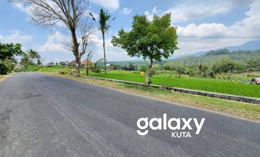 DIJUAL TANAH RAYA PLAGA PETANG BADUNG, BALI
