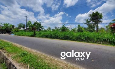 DIJUAL TANAH RAYA PLAGA PETANG BADUNG, BALI