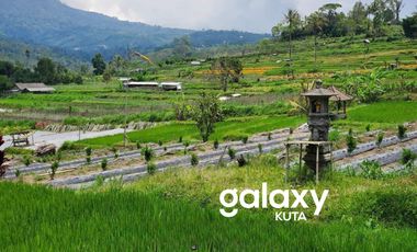 DIJUAL TANAH RAYA PLAGA PETANG BADUNG, BALI