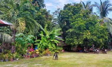 HOUSE AND LOT FOR SALE IN DAUIN