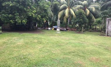 HOUSE AND LOT FOR SALE IN DAUIN