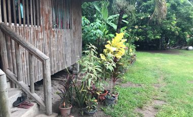 HOUSE AND LOT FOR SALE IN DAUIN