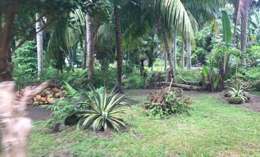 HOUSE AND LOT FOR SALE IN DAUIN
