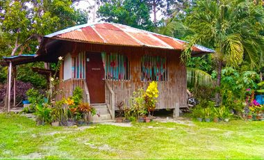 HOUSE AND LOT FOR SALE IN DAUIN