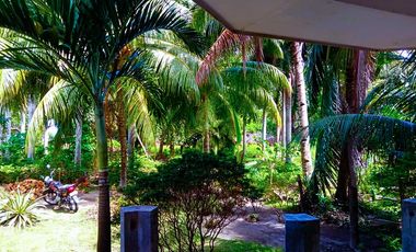 HOUSE AND LOT FOR SALE IN DAUIN