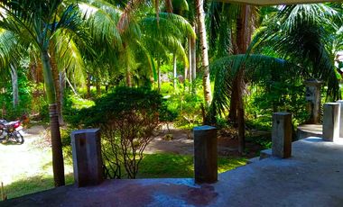 HOUSE AND LOT FOR SALE IN DAUIN